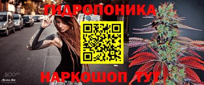 дживик Лесосибирск