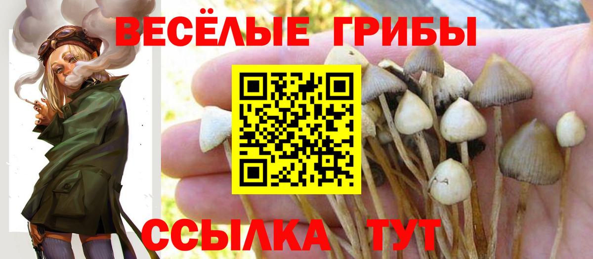 Галлюциногенные грибы GOLDEN TEACHER Ейск