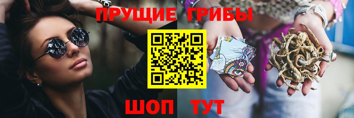 Ейск  Псилоцибиновые грибы GOLDEN TEACHER  Вход с VPN 